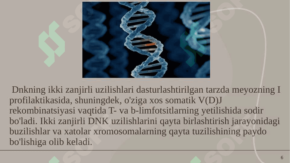 Sitoplazmatik mutatsiyalar 6