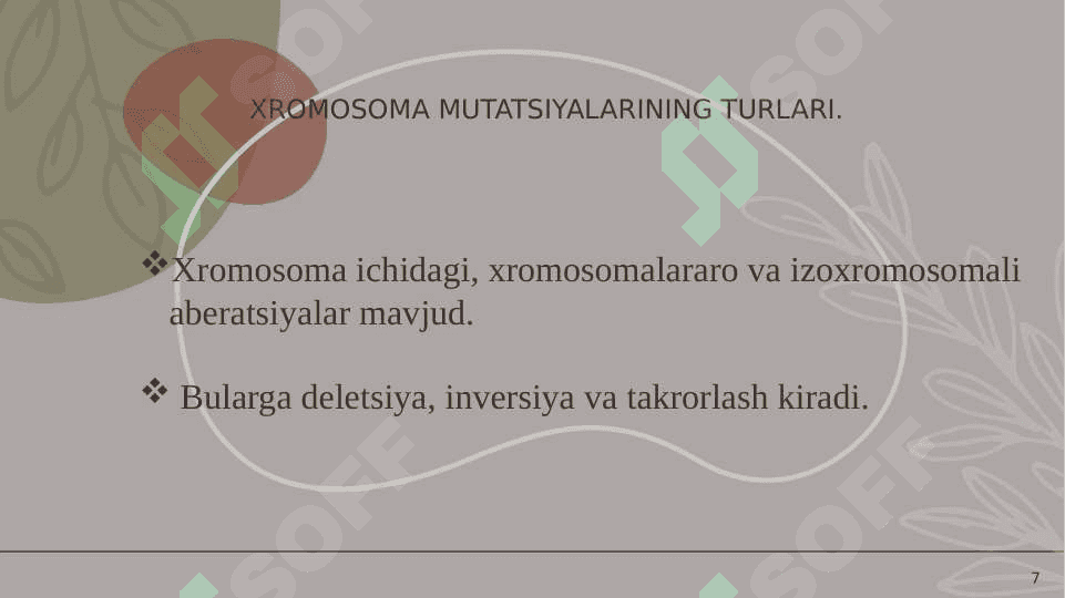 Sitoplazmatik mutatsiyalar 7