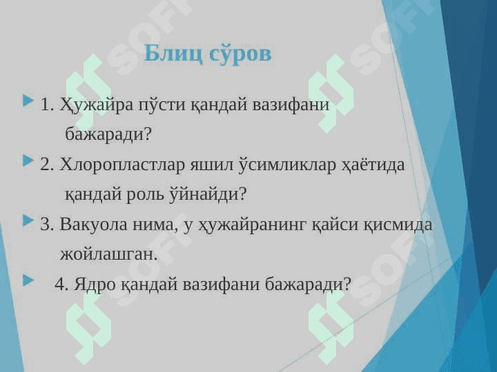 Ўсимлик тўқималари 3