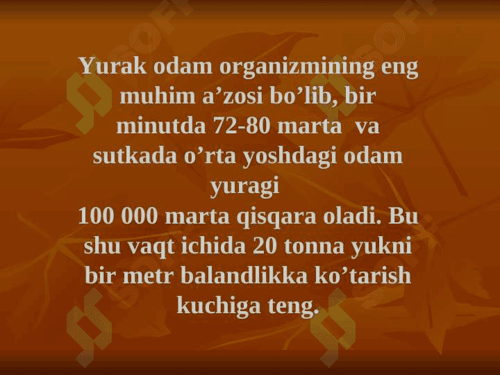 Yurak anatomiyasi | Юрак анатомияси 4