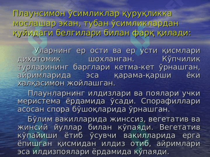 Плаунтоифа (Lycopodiophyta)        ўсимликлар pptx 5