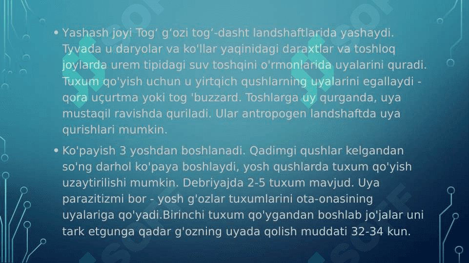 g`ozlar va ularning turlari pptx 5