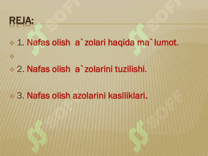 Nafas  olish  sistemasi 6
