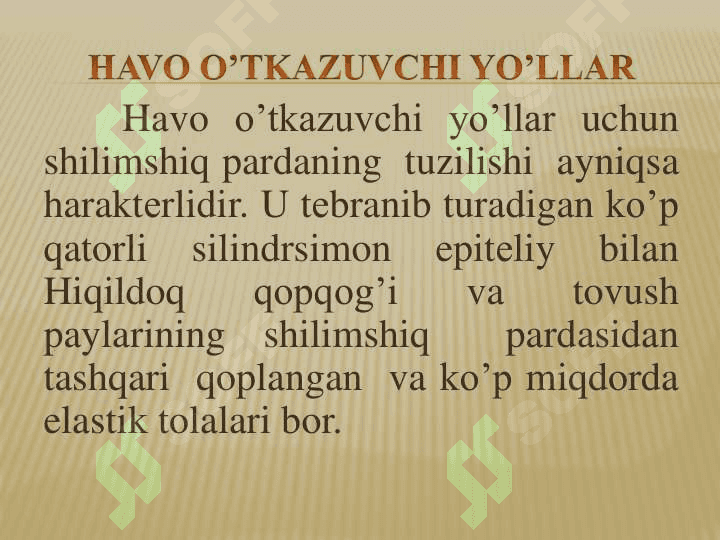Nafas  olish  sistemasi 8