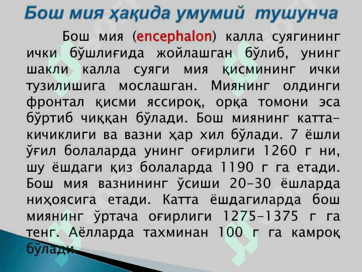 Бош миянинг тузилиши 3