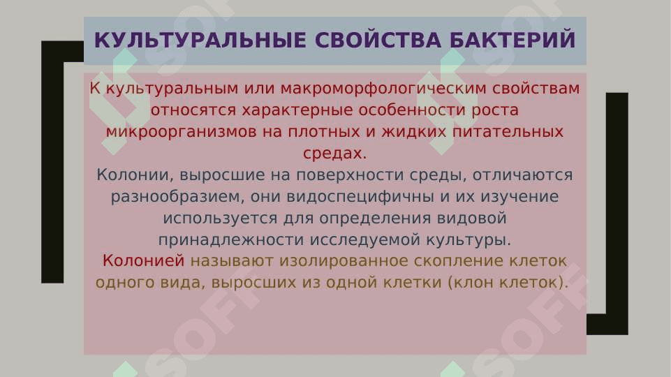 ОПРЕДЕЛЕНИЕ БАКТЕРИАЛЬНОЙ ЗАГРЯЗНЕННОСТИ БИОЛОГИЧЕСКОГО МАТЕРИАЛА БИОХИМЕЧИСКИМИ МЕТОДАМИ 4
