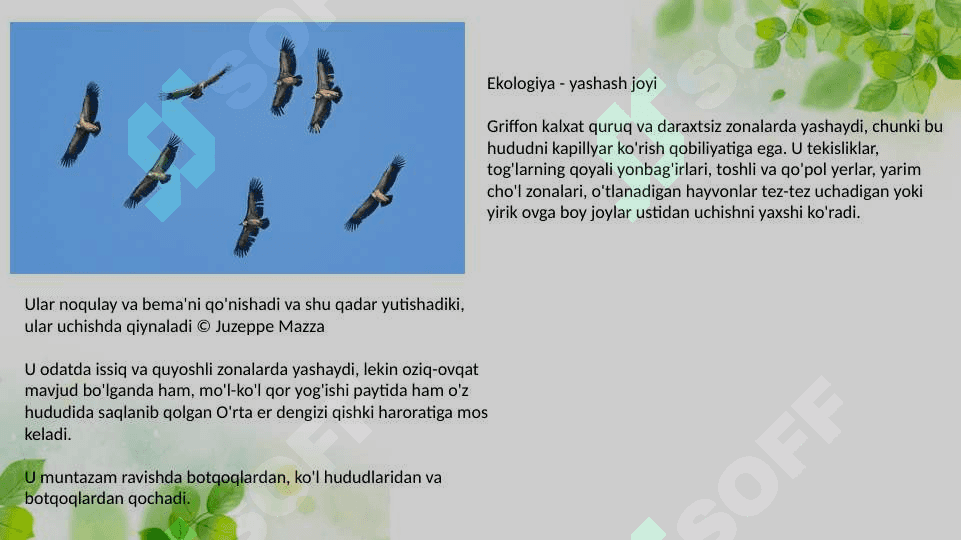 Mustaqil talim pptx 6
