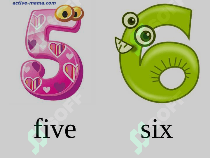 NUMBERS 5