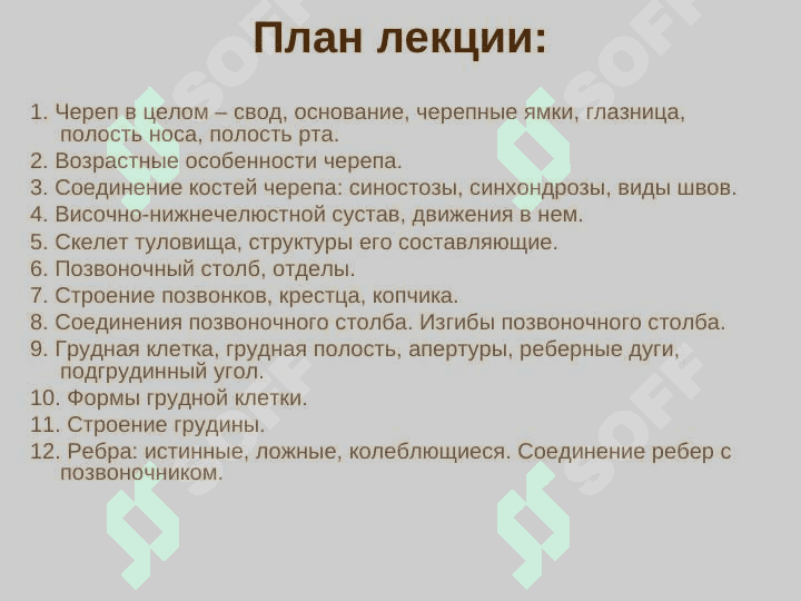 Кости черепа. Скелет туловища 3