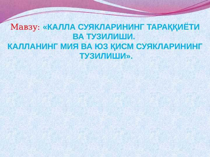 КАЛЛА СУЯКЛАРИНИНГ ТАРАҚҚИЁТИ ВА ТУЗИЛИШИ.  КАЛЛАНИНГ МИЯ ВА ЮЗ ҚИСМ СУЯКЛАРИНИНГ  ТУЗИЛИШИ