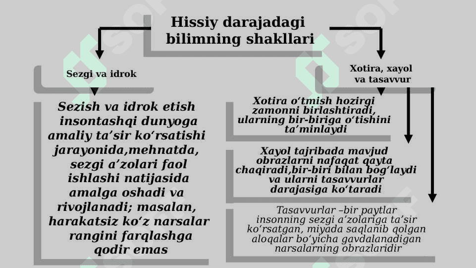 Bilish falsafasi (gnoseologiya) 7