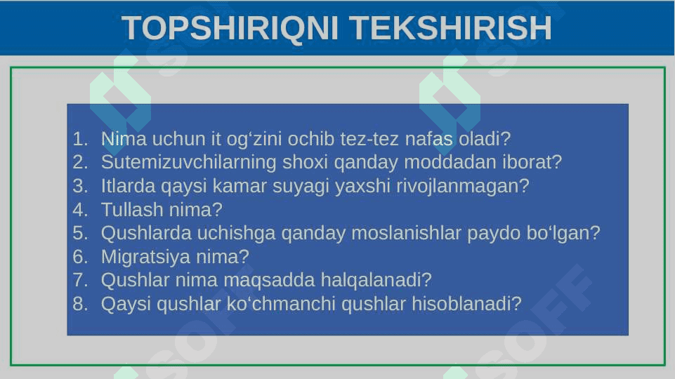 Itning ichki tuzilishi.2 3