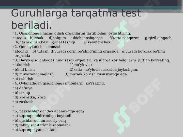 O‘rgimchaksimonlar sinfi.   Butli o‘rgimchak 4
