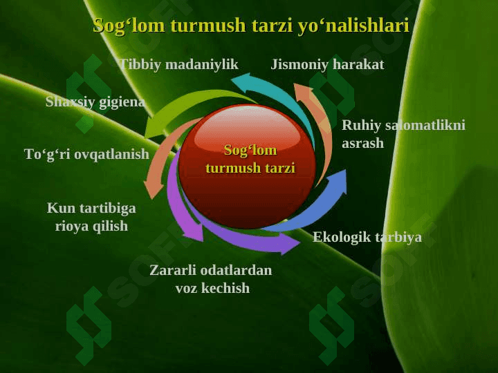Sogʻlom turmush tarzi 3