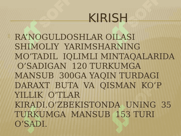 Ra’noguldoshlar  oilasi 5