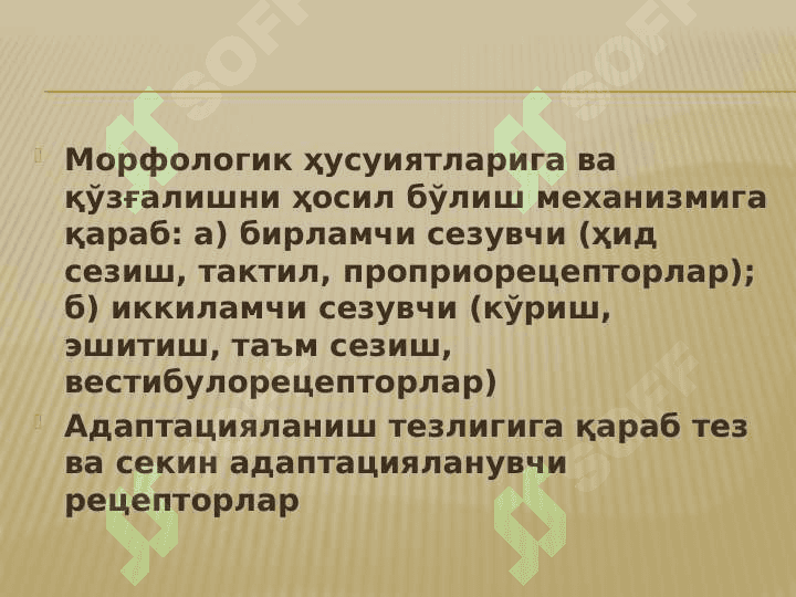 Организмнинг сенсор системаси 8