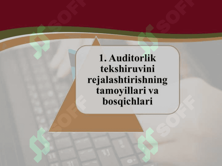 Auditorlik tekshiruvini rejalashtirish 3