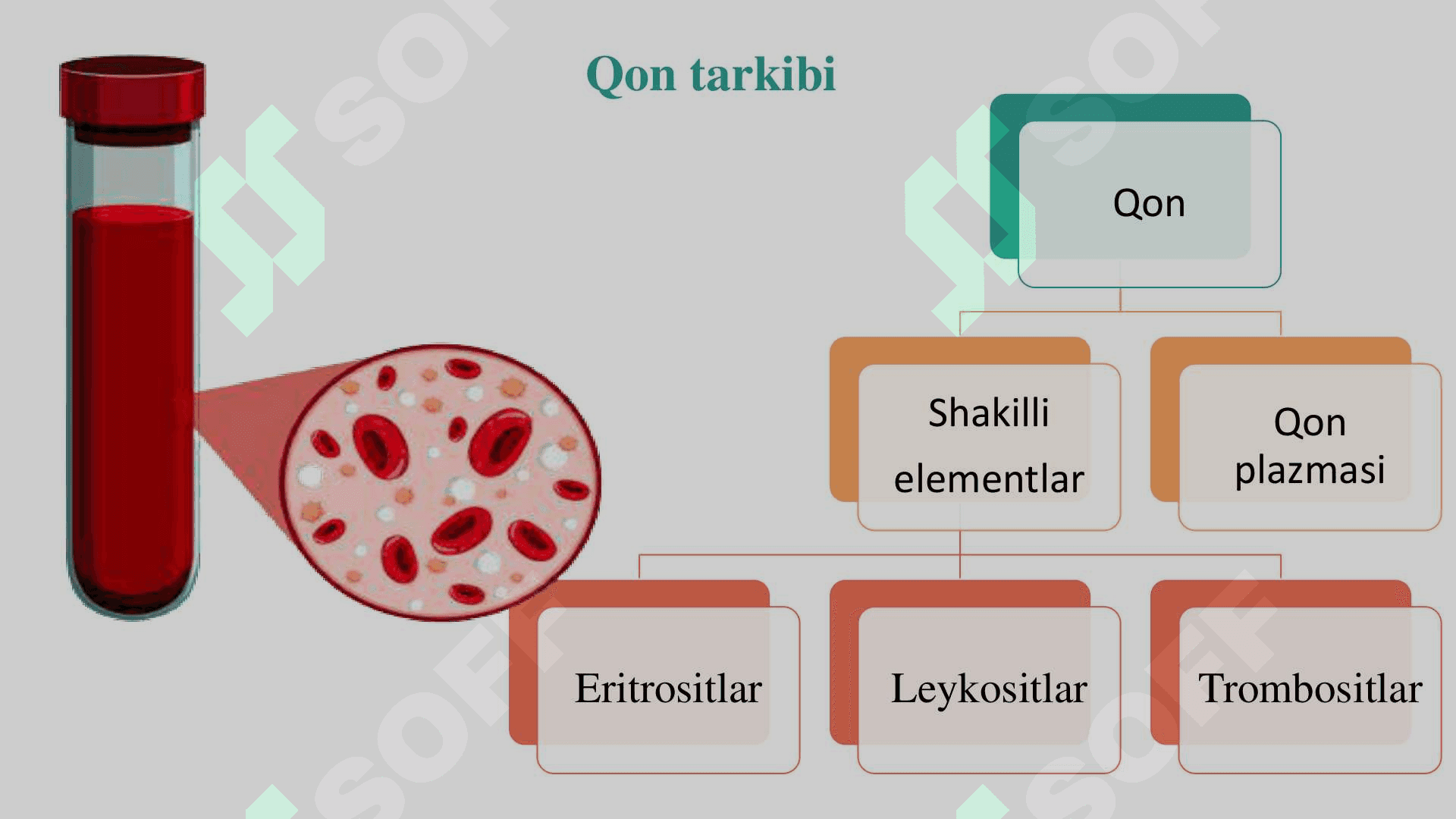 Qonning kimyoviy tarkibi 2