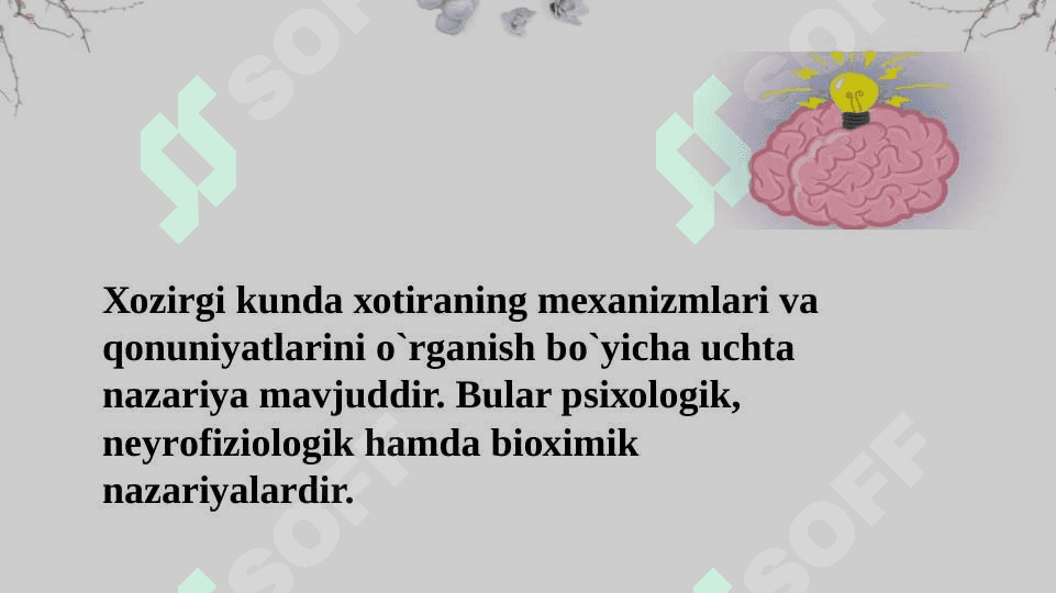 XOTIRA TURLARI VA UNING JARAYONLARI 6