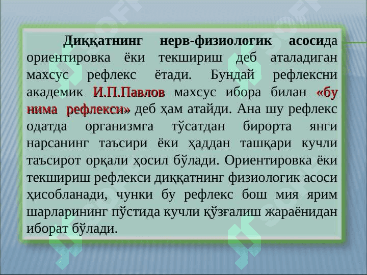 ДИҚҚАТ 7