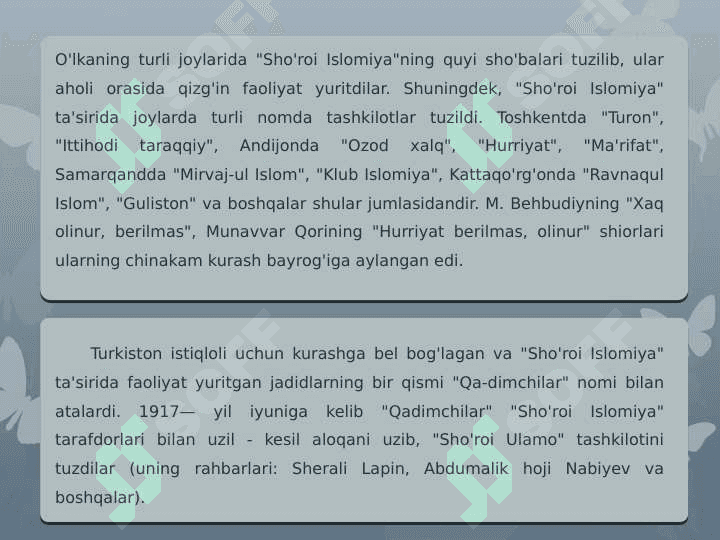 Sho'ro islomiya tashkiloti 3