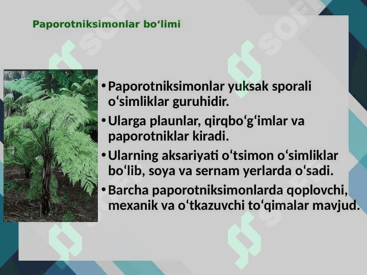 PAPOROTNIKLAR 2