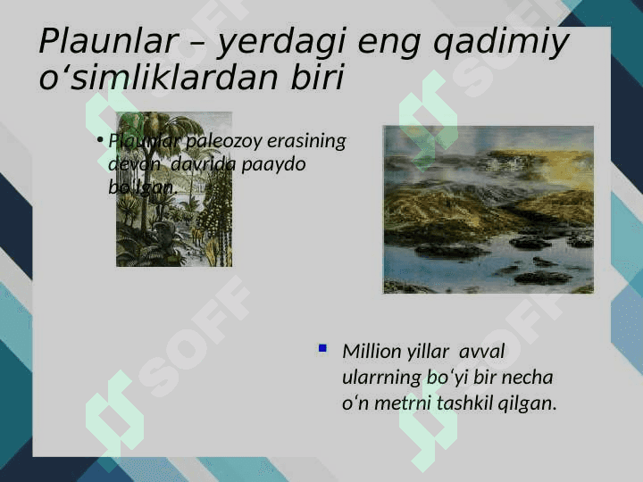 Plaunlar 3