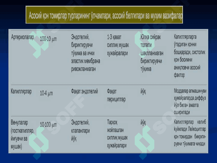 ЮРАК ҚОН-ТОМИРЛАР СИСТЕМАСИ 5