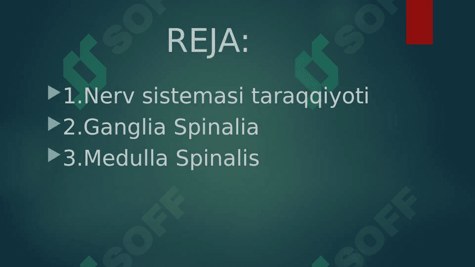 Nerv sistemasi 2