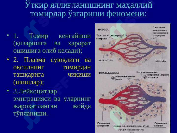 Яллиғланиш 8