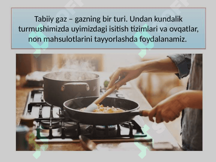 GAZLAR Tabbit fan 8
