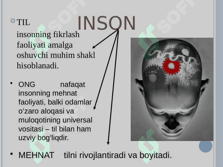 Borliq falsafasi (Ontologiya) 8