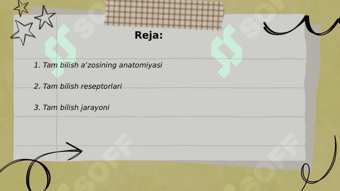 Tam bilish aʼzosi 2