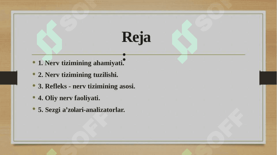 Nerv tizimining ahamiyati 2