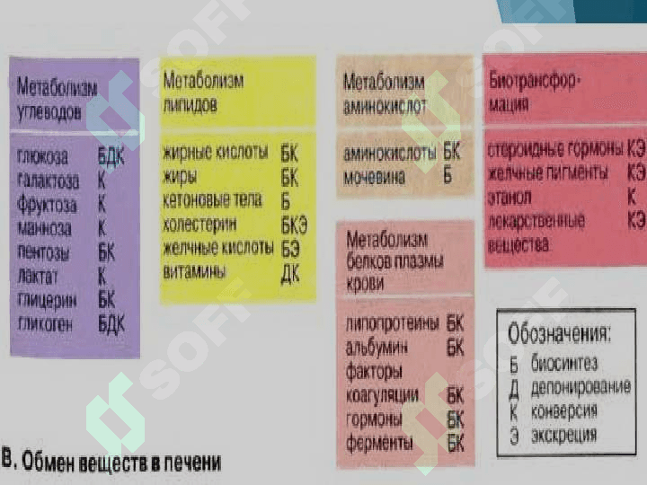 Jigar biokimyosi ppt 6