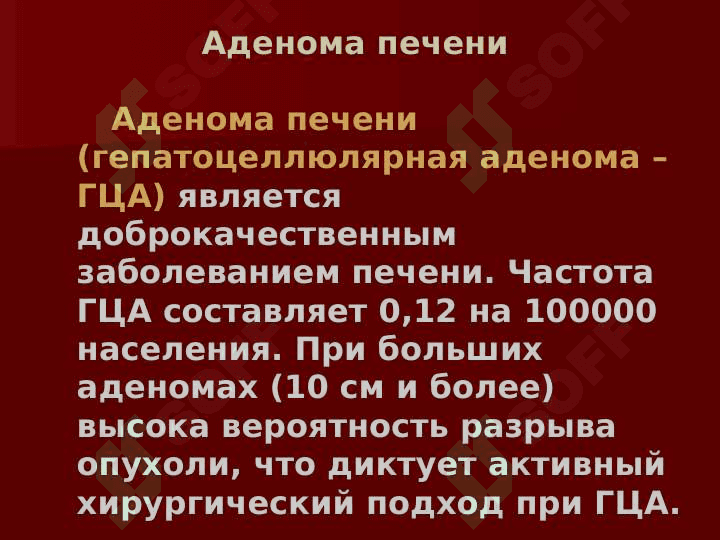 Jigar raki  (rus) ppt 6