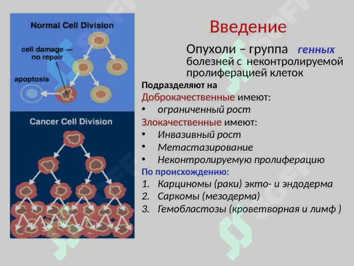 Биохимия онкогенеза 2