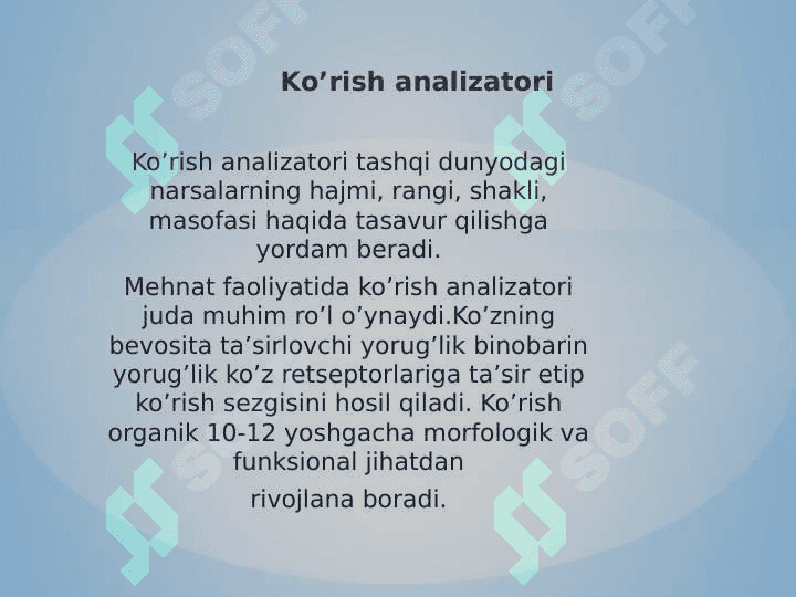Ko’rish va eshitish analizatorlari 2