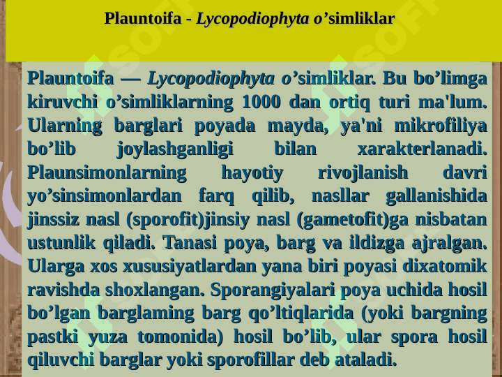 Plauntoifa — Lycopodiophyta o’simliklar bo’limi 3