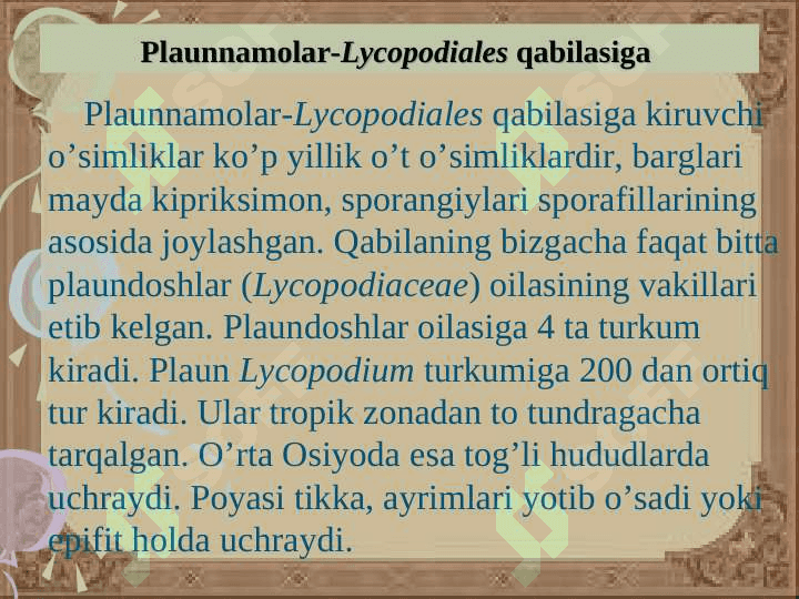 Plauntoifa — Lycopodiophyta o’simliklar bo’limi 5