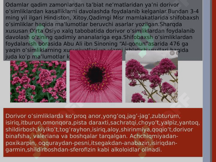 O’zbekistonning foydali o’simliklari 4