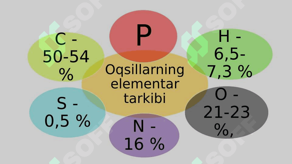Oqsillar. Aminokislotalar 3