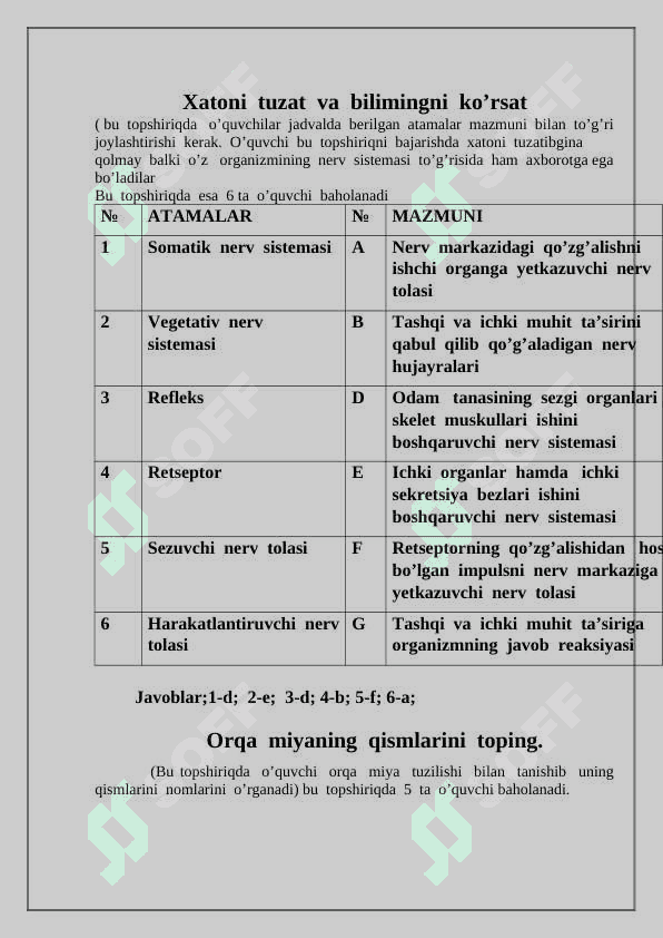 Bosh  miyaning  tuzilishi 2