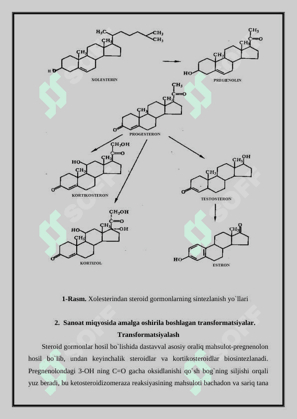 Organik moddalarni mikrobiologik transformatsiyalash va ularni qaytarilishini biotexnologik uslublari 8