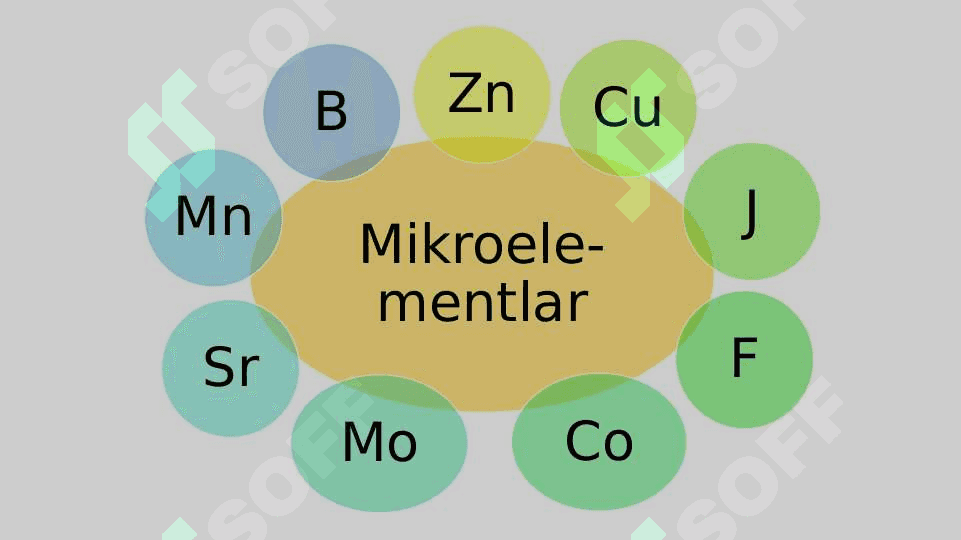 Hujayraning kimyoviy tarkibi 6