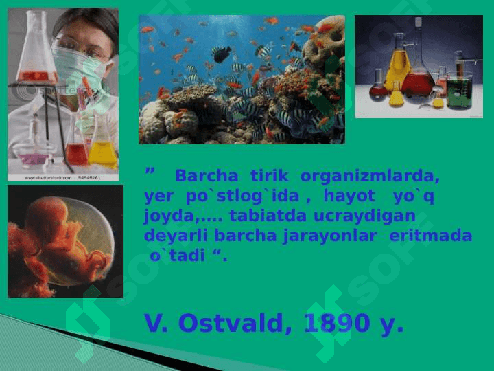 Embrion rivojlanishga tashqi muhitning ta`siri.Rivojlanishning umumiy qonuniyatlari. Biogenetik  qonun. Embrionlarning o`xshashlik qonuni 2