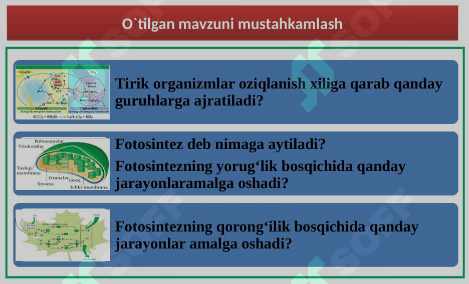 Xemosintez 9-10 sinf 3