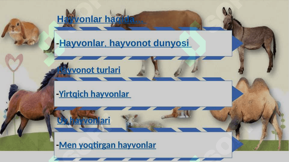 Hayvonot olami 2