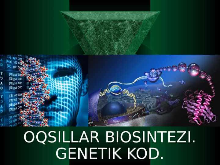 Plastik almashinuv. Oqsillar biosintezi. Genetik kod