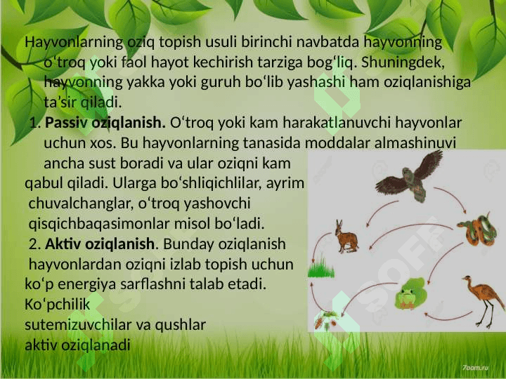 Hayvonlarning oziqlanishi 6